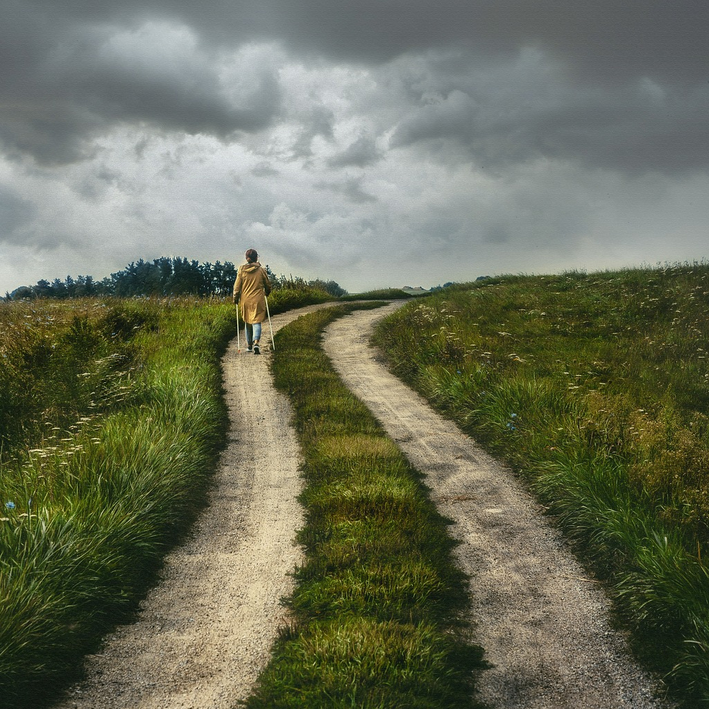Langer Wanderweg durch eine Wiesenlandschaft