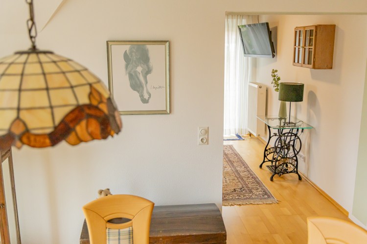 Lampenschirm und dekoratives Bild mit Pferdekoch im Essbereich