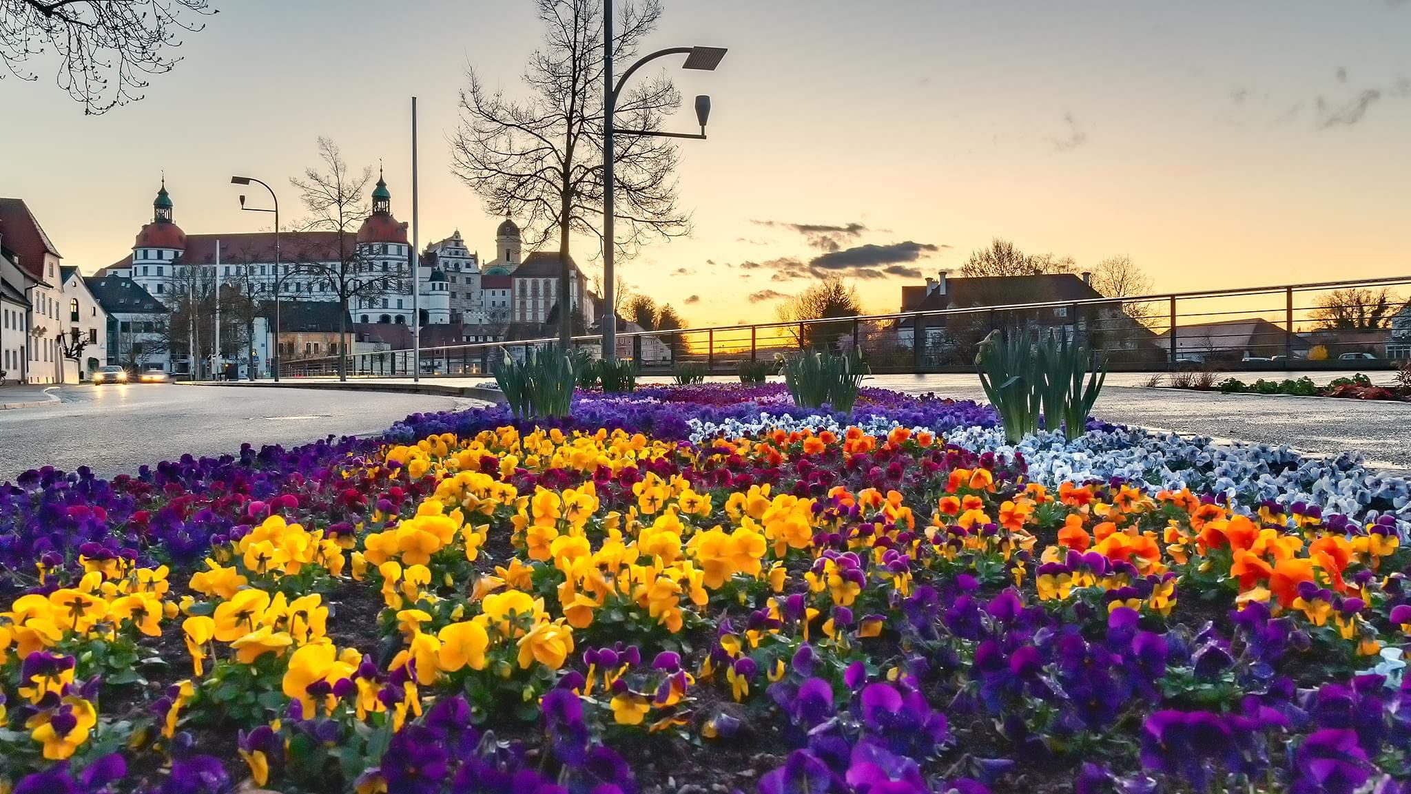 Blumenbeet am Donauufer mit Blick auf das Neuburger Schloss